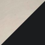 Stainless Steel + Black